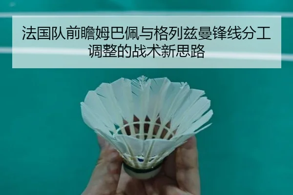 法国队前瞻姆巴佩与格列兹曼锋线分工调整的战术新思路